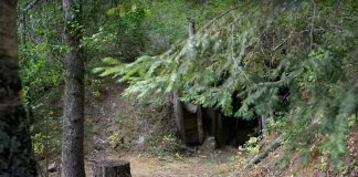 He Built An Underground House For $50
