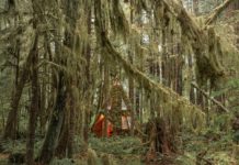 This Dreamy Diamond Cabin Is Straight Out of a Fairy Tale
