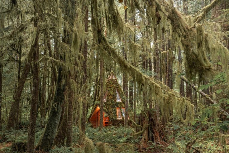 This Dreamy Diamond Cabin Is Straight Out of a Fairy Tale