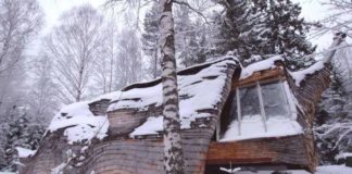 This Tiny House Looks Like A Big Log From The Outside. The Inside? ENCHANTING!