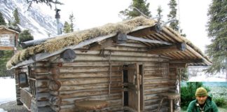 This Man Lived Alone For Nearly 30 Years In The Mountains of Alaska In a Log Cabin Which He Built With His Own Hands