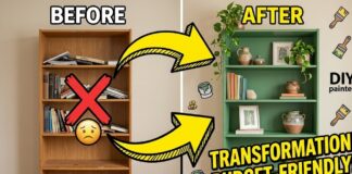 5 Bold Ways to Use DIY Painted Shelving to Transform Your Space